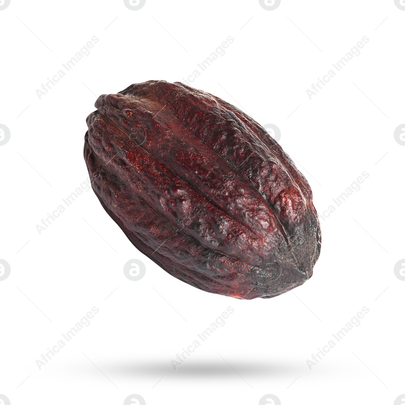 Image of Cocoa pod in air on white background