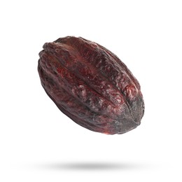 Image of Cocoa pod in air on white background