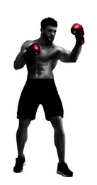 Image of Man in red boxing gloves training on white background. Black-and-white effect with color accent