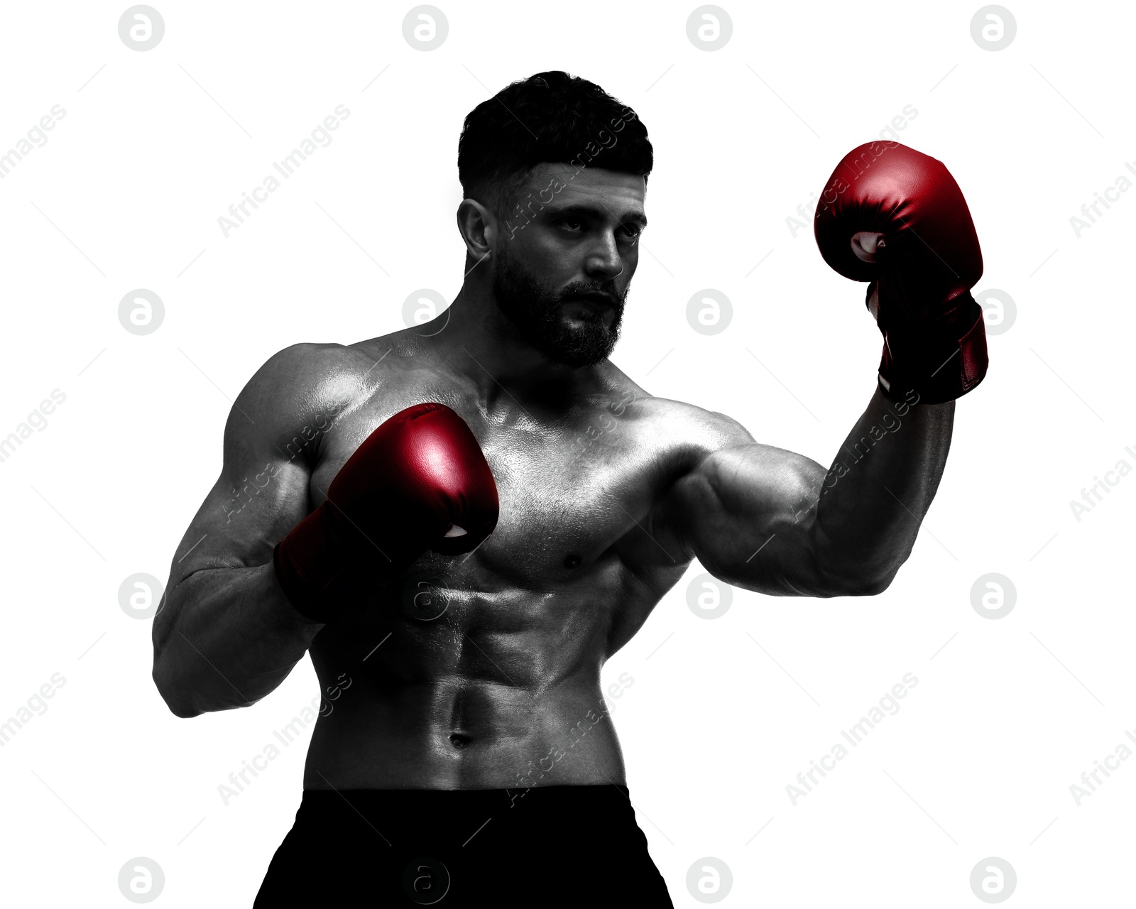 Image of Man in red boxing gloves training on white background. Black-and-white effect with color accent