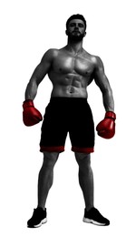 Man in red boxing gloves on white background. Black-and-white effect with color accent