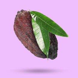 Image of Cocoa pod with green leaves in air on violet background