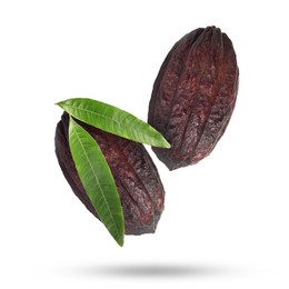 Image of Cocoa pods and green leaves in air on white background