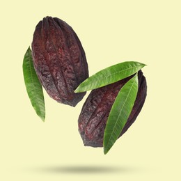 Image of Cocoa pods and green leaves in air on color background