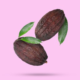 Cocoa pods and green leaves in air on pink background