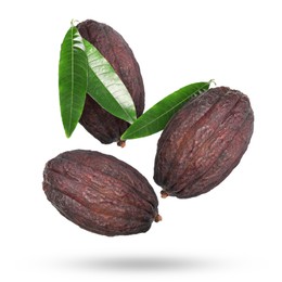 Image of Cocoa pods and green leaves in air on white background