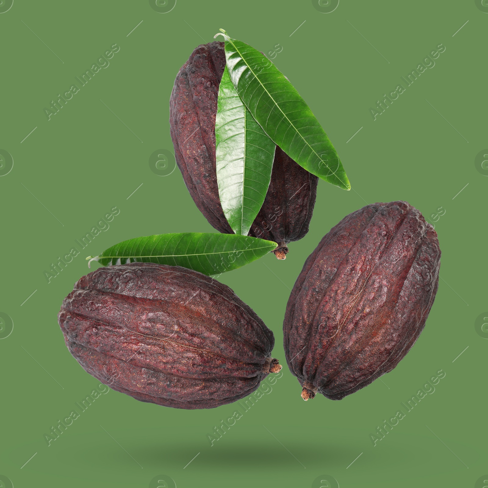 Image of Cocoa pods and leaves in air on green background