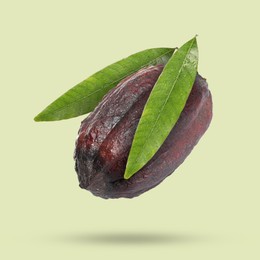 Image of Cocoa pod with green leaves in air on color background