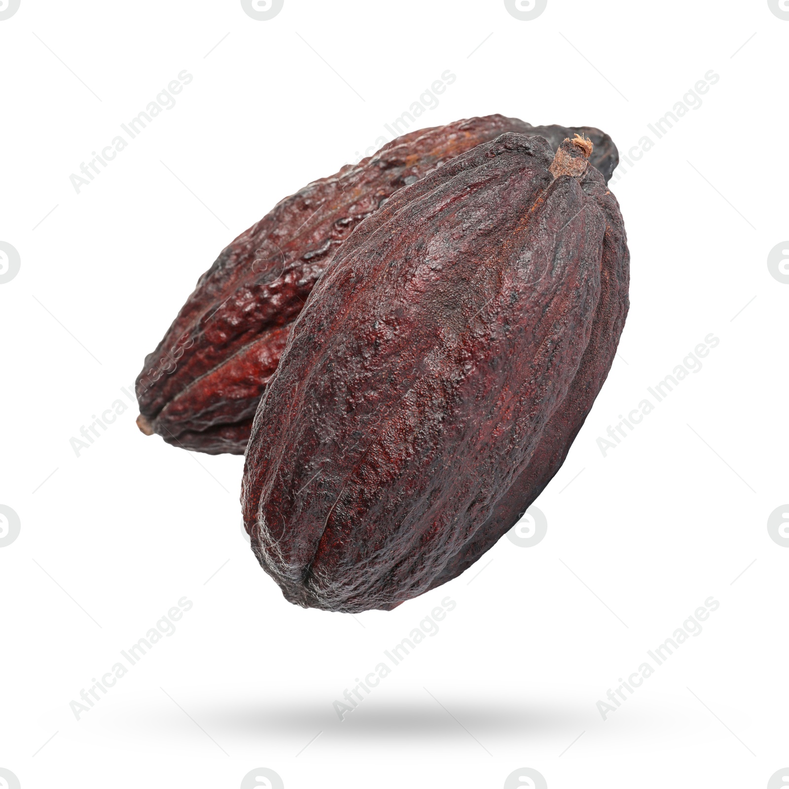 Image of Cocoa pods in air on white background