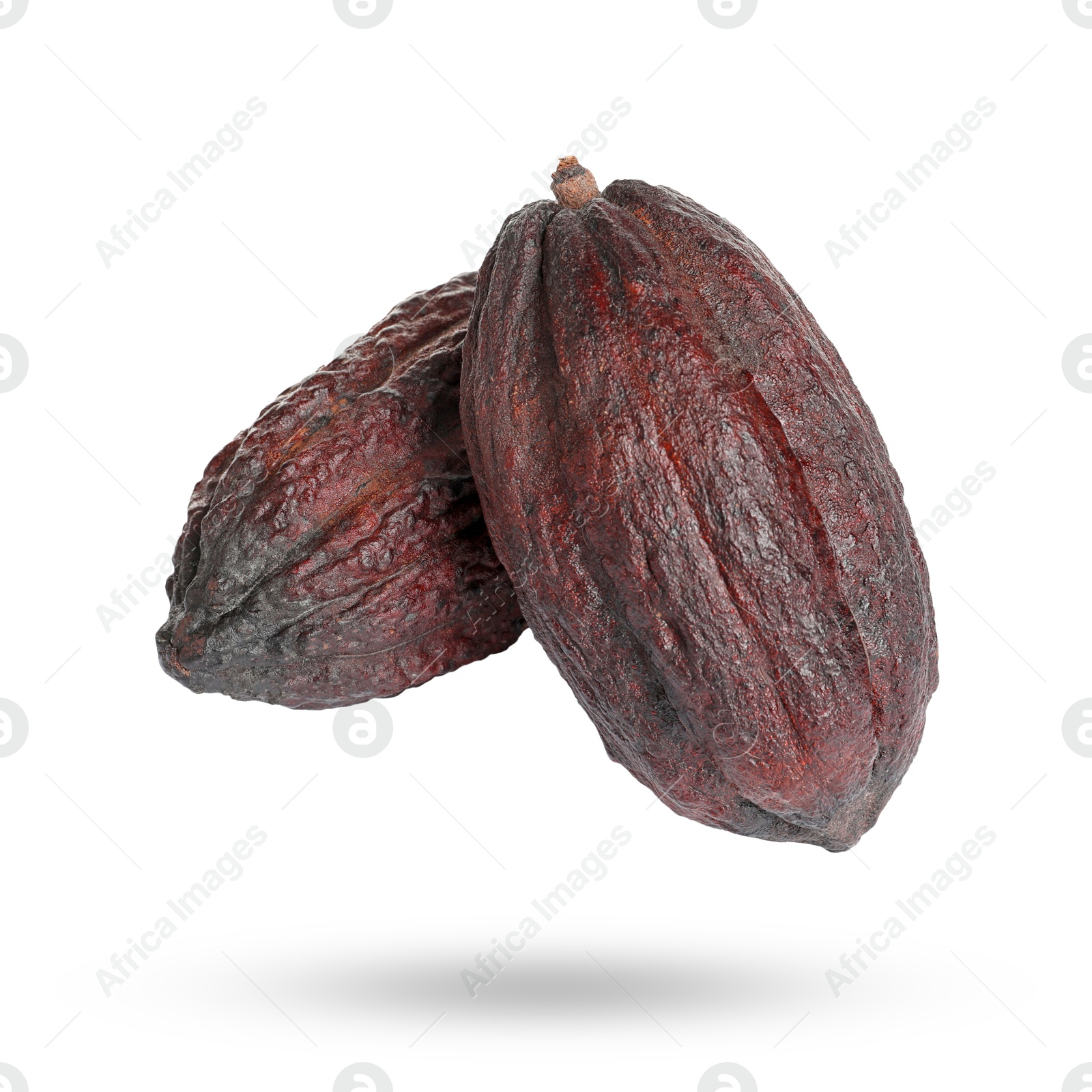 Image of Cocoa pods in air on white background