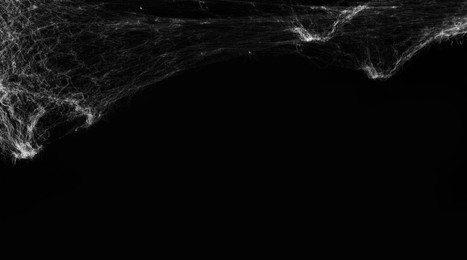 Image of White cobweb on black background, banner design