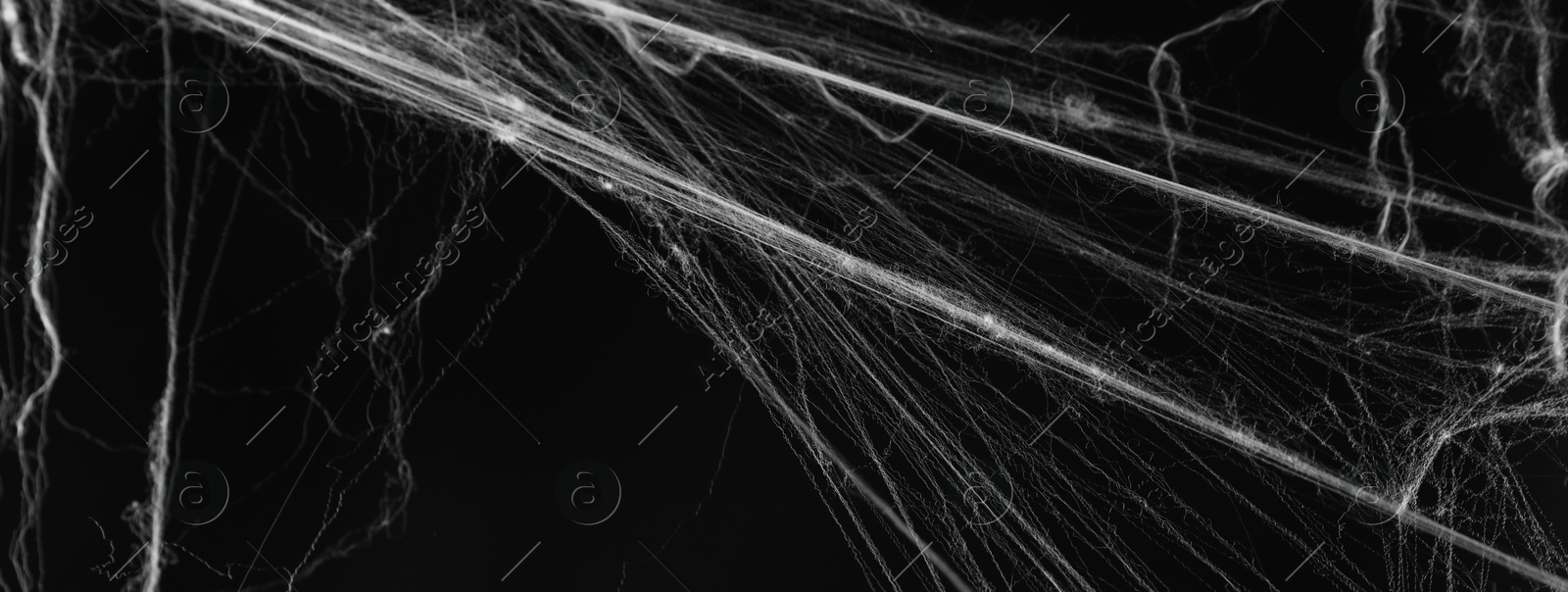 Image of White cobweb on black background, banner design