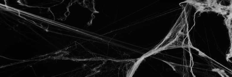 Image of White cobweb on black background, banner design