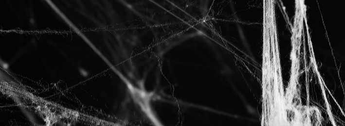 Image of White cobweb on black background, banner design