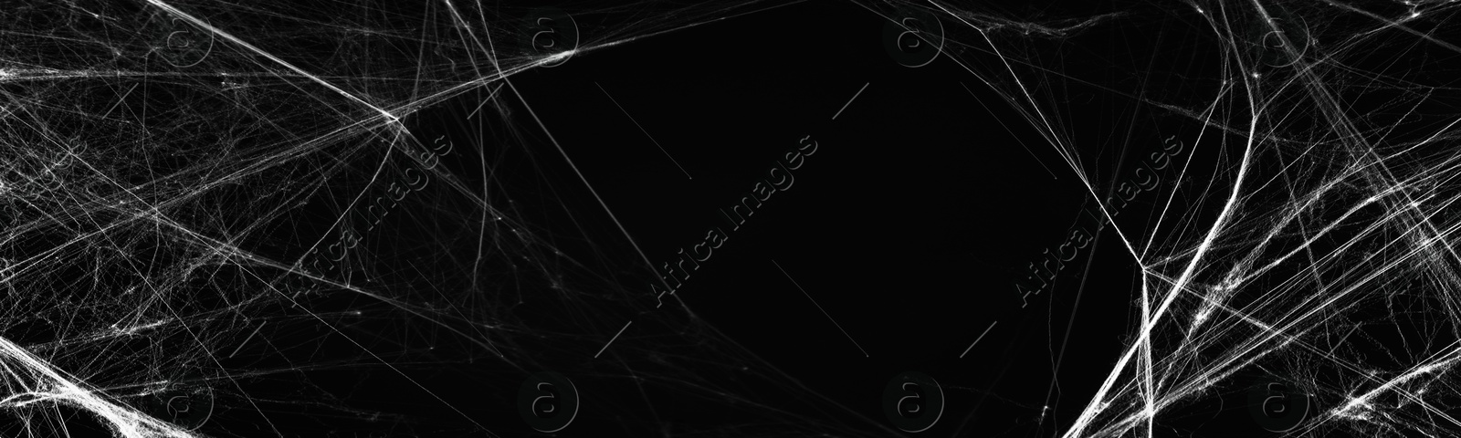 Image of White cobweb on black background, banner design