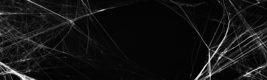 Image of White cobweb on black background, banner design