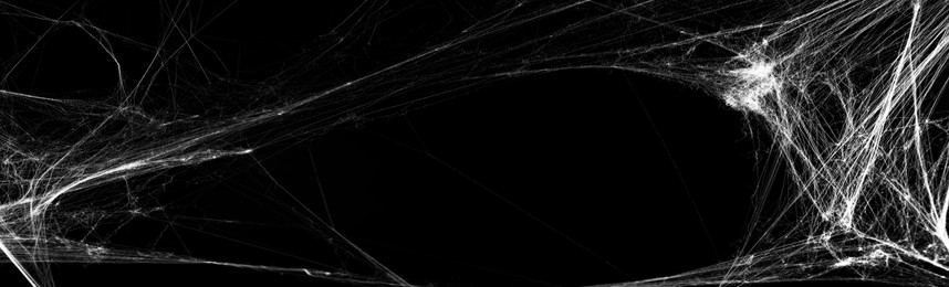 Image of White cobweb on black background, banner design