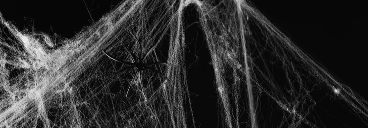 Image of White cobweb on black background, banner design