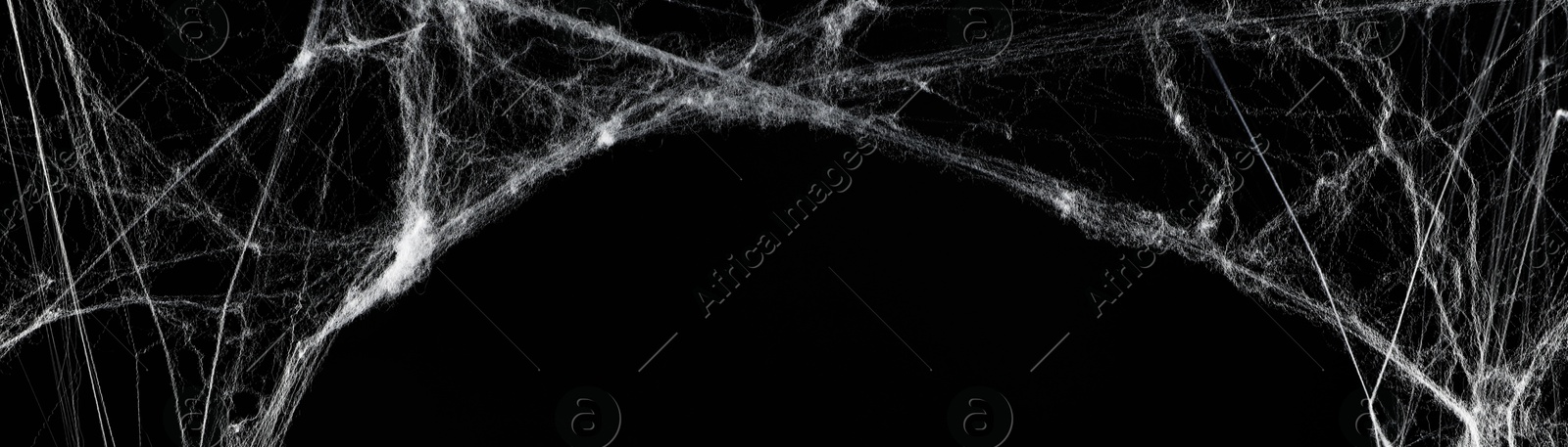 Image of White cobweb on black background, banner design