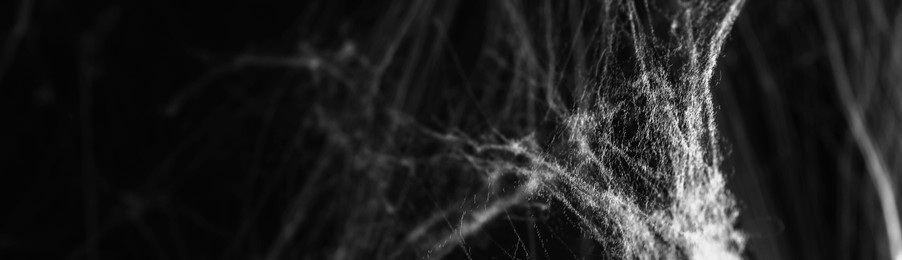 Image of White cobweb on black background, banner design