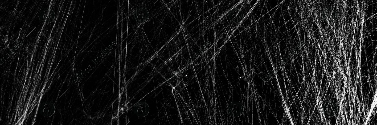 Image of White cobweb on black background, banner design