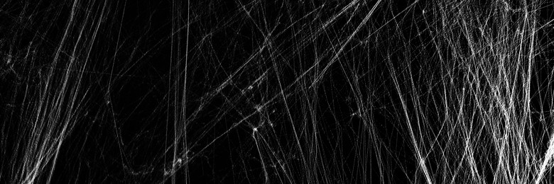 Image of White cobweb on black background, banner design