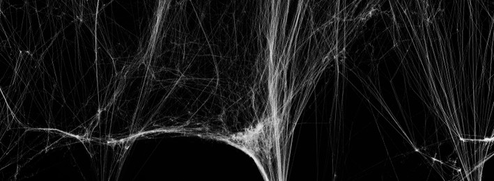 Image of White cobweb on black background, banner design