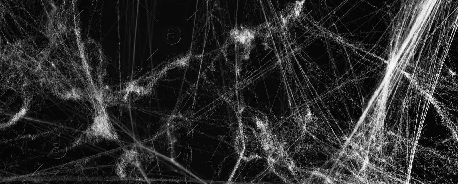 Image of White cobweb on black background, banner design