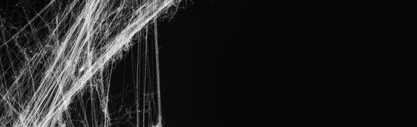 Image of White cobweb on black background, banner design