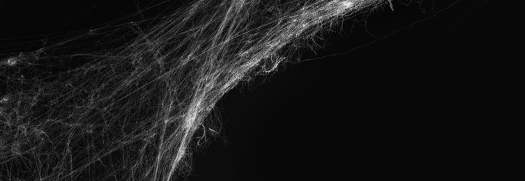 Image of White cobweb on black background, banner design