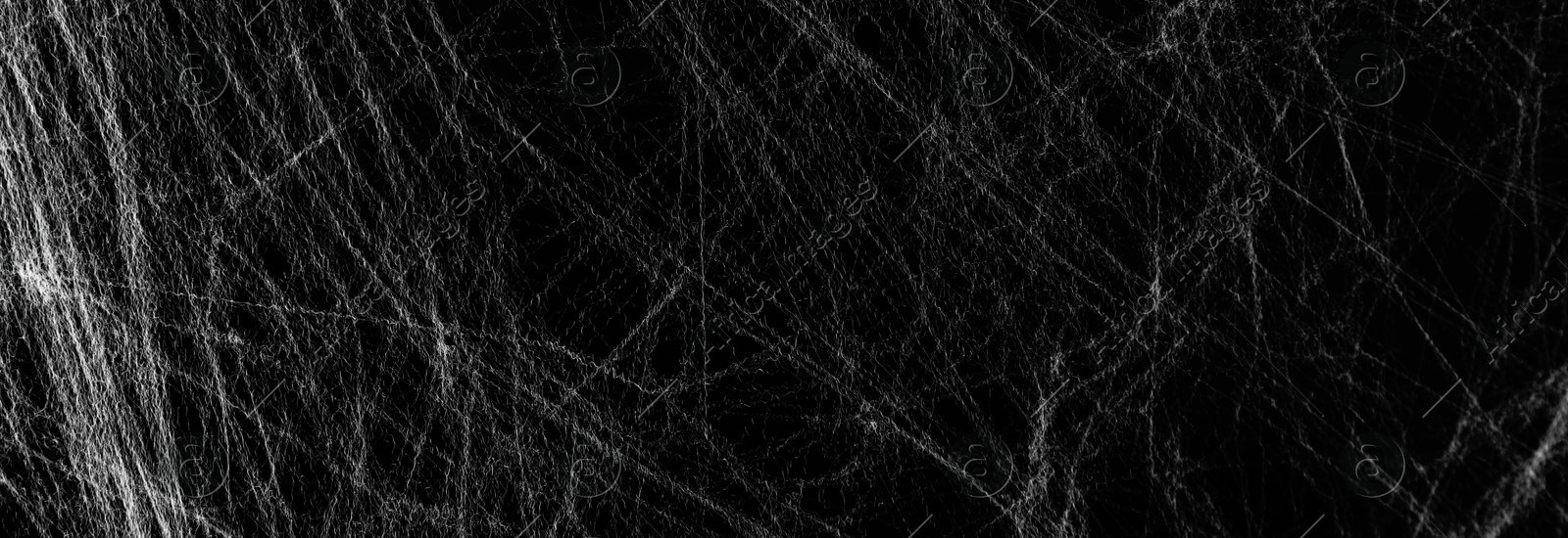 Image of White cobweb on black background, banner design