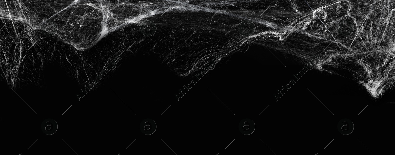 Image of White cobweb on black background, banner design