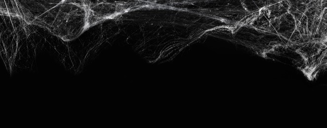 Image of White cobweb on black background, banner design