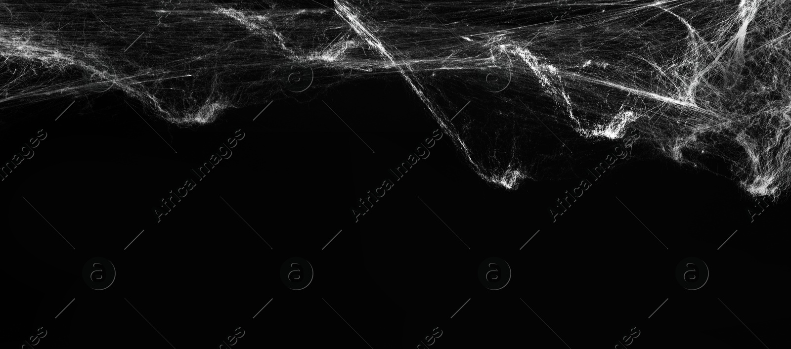 Image of White cobweb on black background, banner design