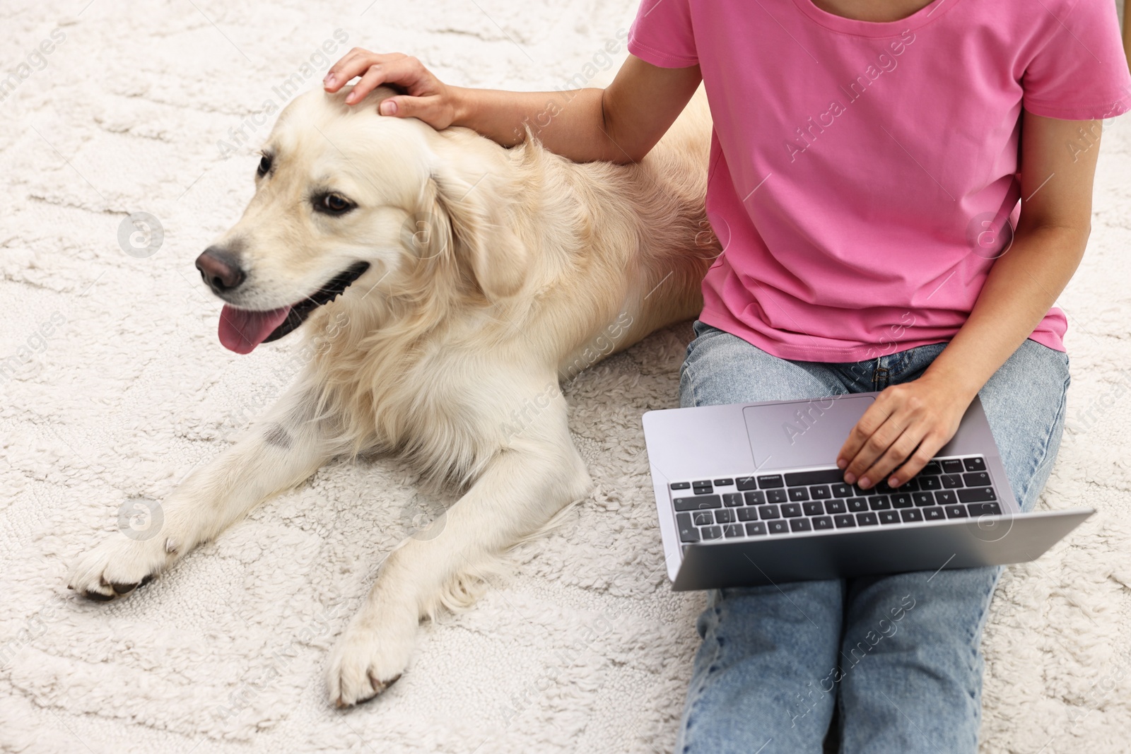 Photo of Online pet shop. Woman with laptop making order for cute Golden Retriever dog on rug at home, closeup