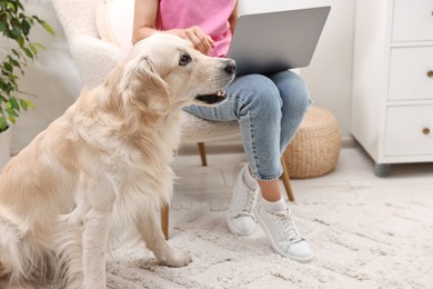 Online pet shop. Woman with laptop making order for cute Golden Retriever dog at home, closeup