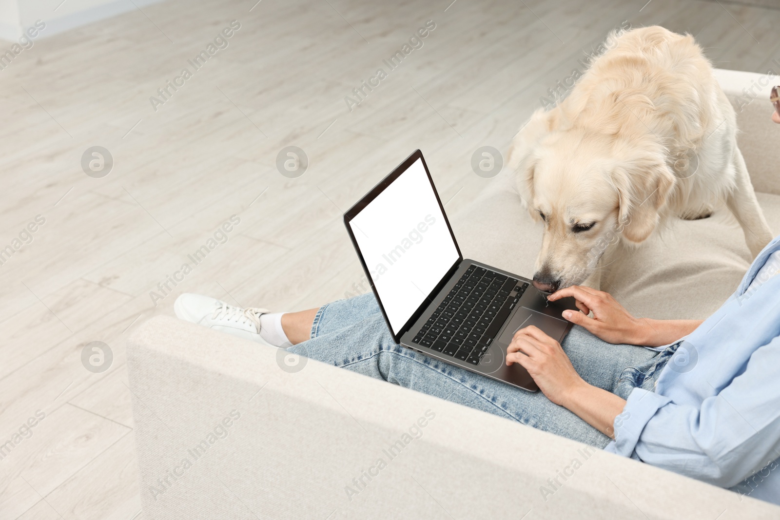 Photo of Online pet shop. Woman with laptop making order and cute Golden Retriever dog at home, closeup. Space for text