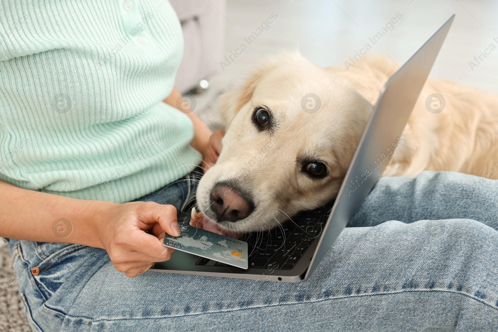 Photo of Online pet shop. Woman with laptop, credit card and cute Golden Retriever dog making order at home, closeup