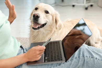 Photo of Online pet shop. Woman with laptop, credit card and cute Golden Retriever dog making order at home, closeup