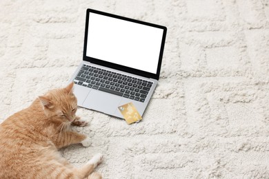 Online pet shop. Cute cat, laptop and credit card on rug indoors, space for text