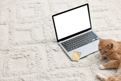 Online pet shop. Cute cat, laptop and credit card on rug indoors, space for text