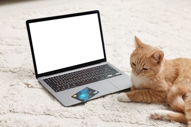 Online pet shop. Cute cat, laptop and credit card on rug indoors