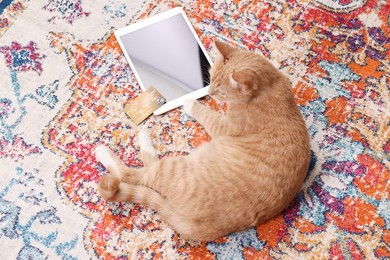 Online pet shop. Cute cat, tablet and credit card on rug indoors