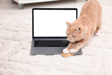 Photo of Online pet shop. Cute cat, laptop and credit card on rug indoors