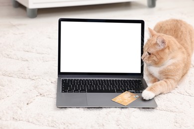 Online pet shop. Cute cat, laptop and credit card on rug indoors