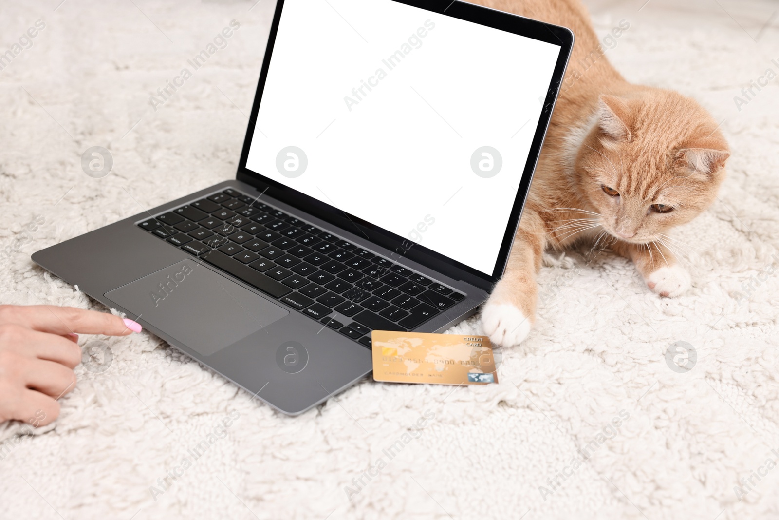 Photo of Online pet shop. Woman with laptop, credit card and cute cat making order on rug at home, closeup