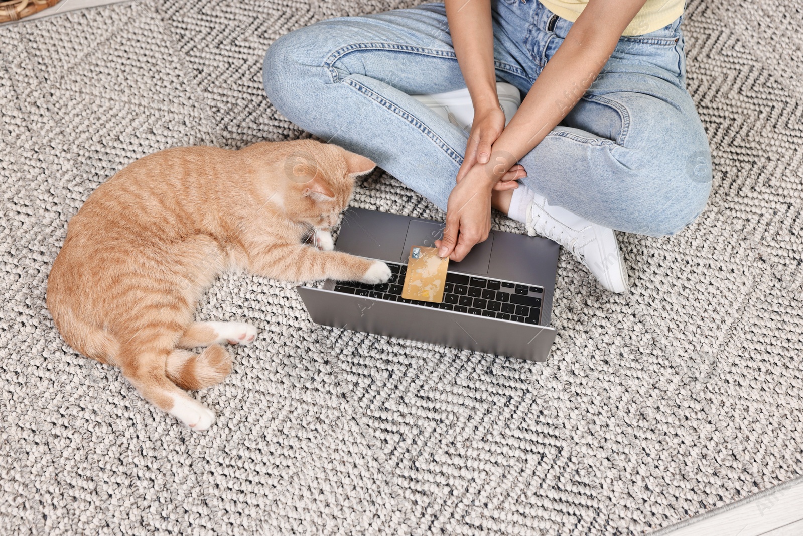 Photo of Online pet shop. Woman with laptop, credit card and cute cat making order on rug at home, closeup