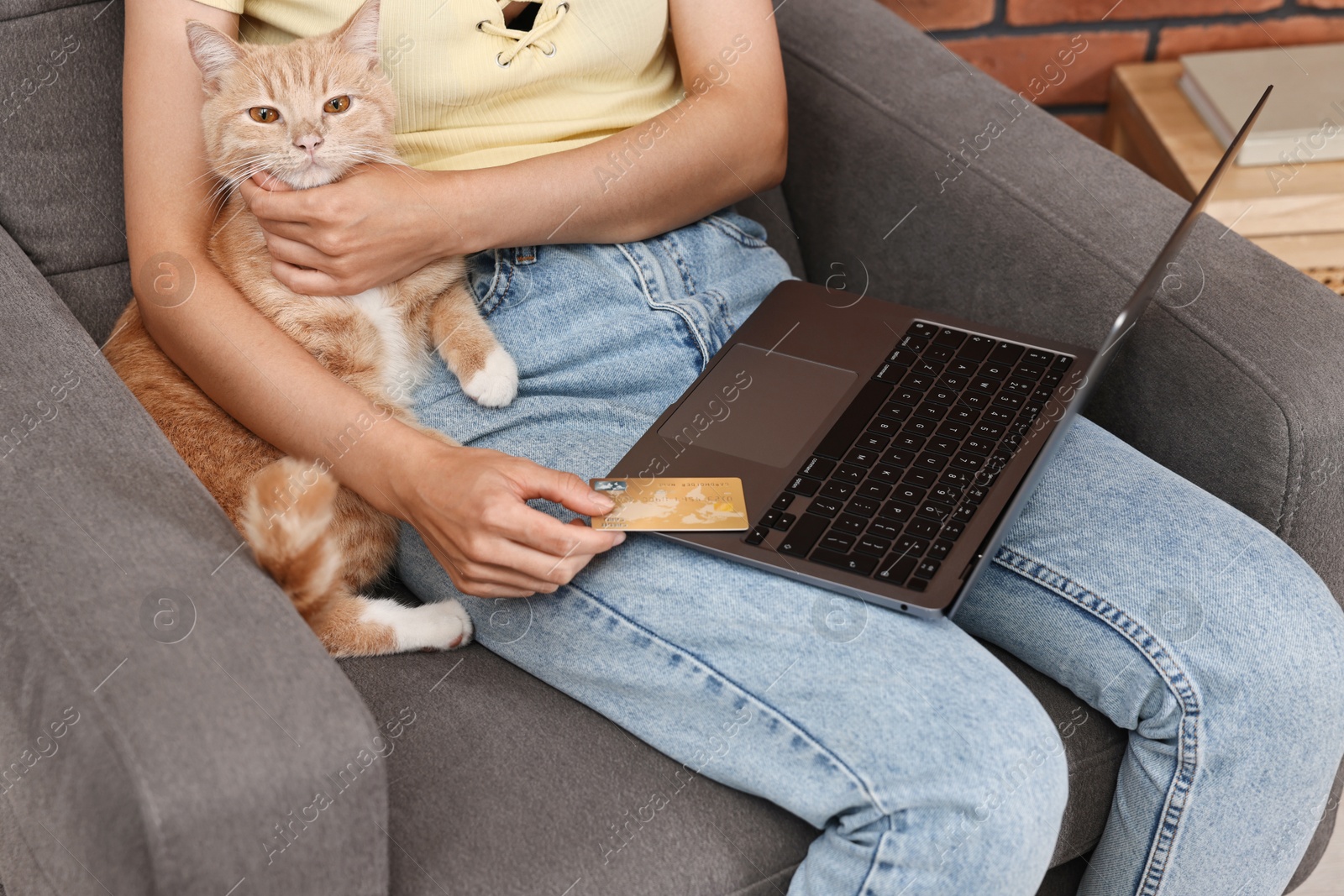 Photo of Online pet shop. Woman with laptop, credit card and cute cat making order on armchair at home, closeup