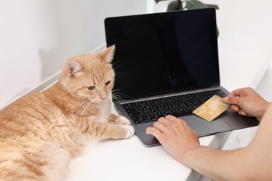 Online pet shop. Woman with laptop, credit card and cute cat making order at home, closeup