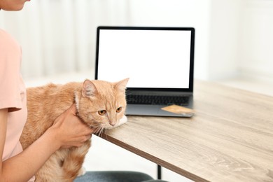 Online pet shop. Woman with laptop, credit card and cute cat making order at wooden table indoors, closeup